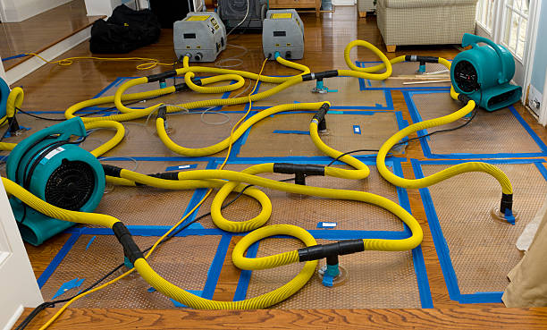 Professional Sewage Cleanup technician working in Bedminster, NJ